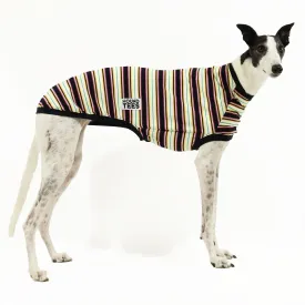 Back in Black Greyhound Sleeveless Hound-Tee