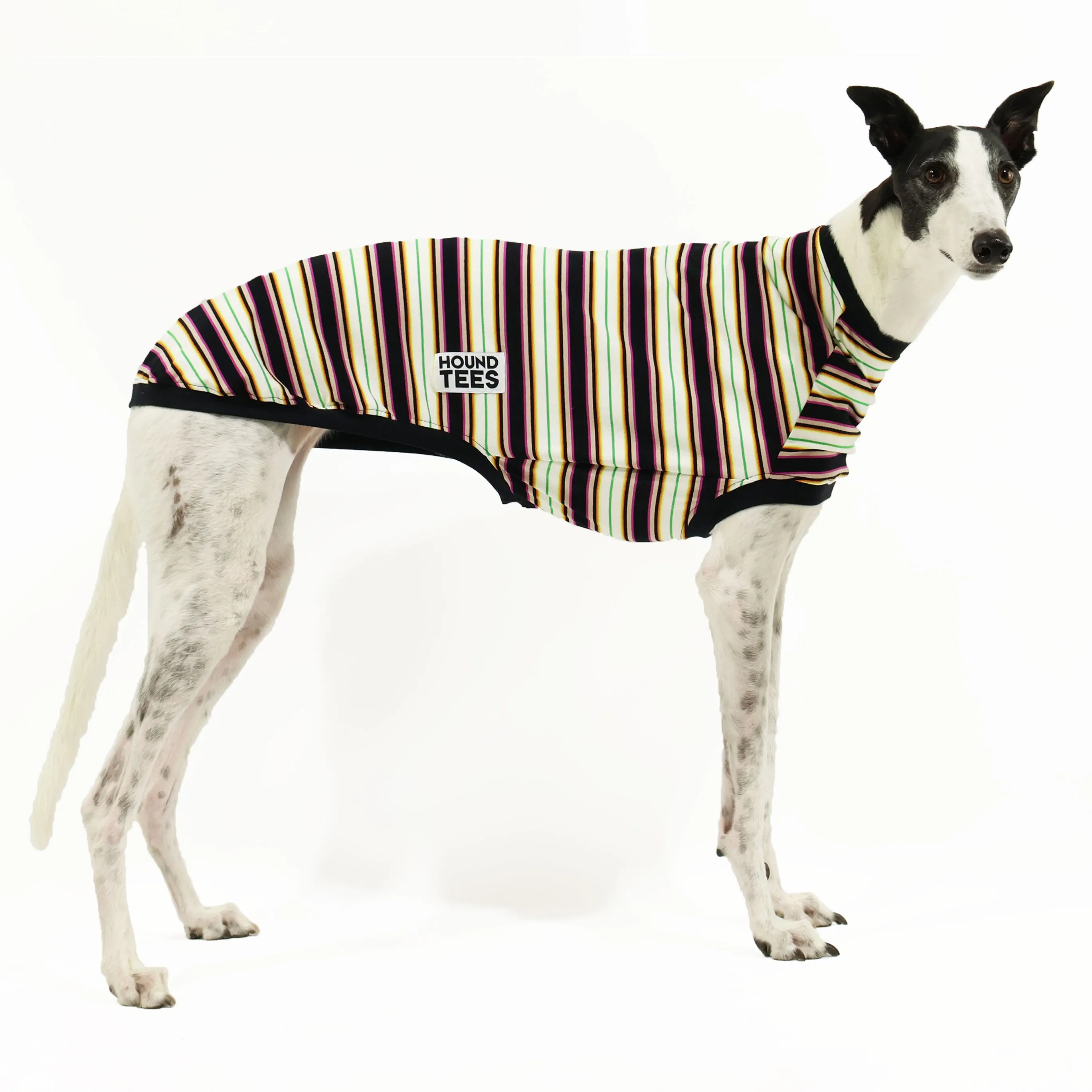 Back in Black Greyhound Sleeveless Hound-Tee