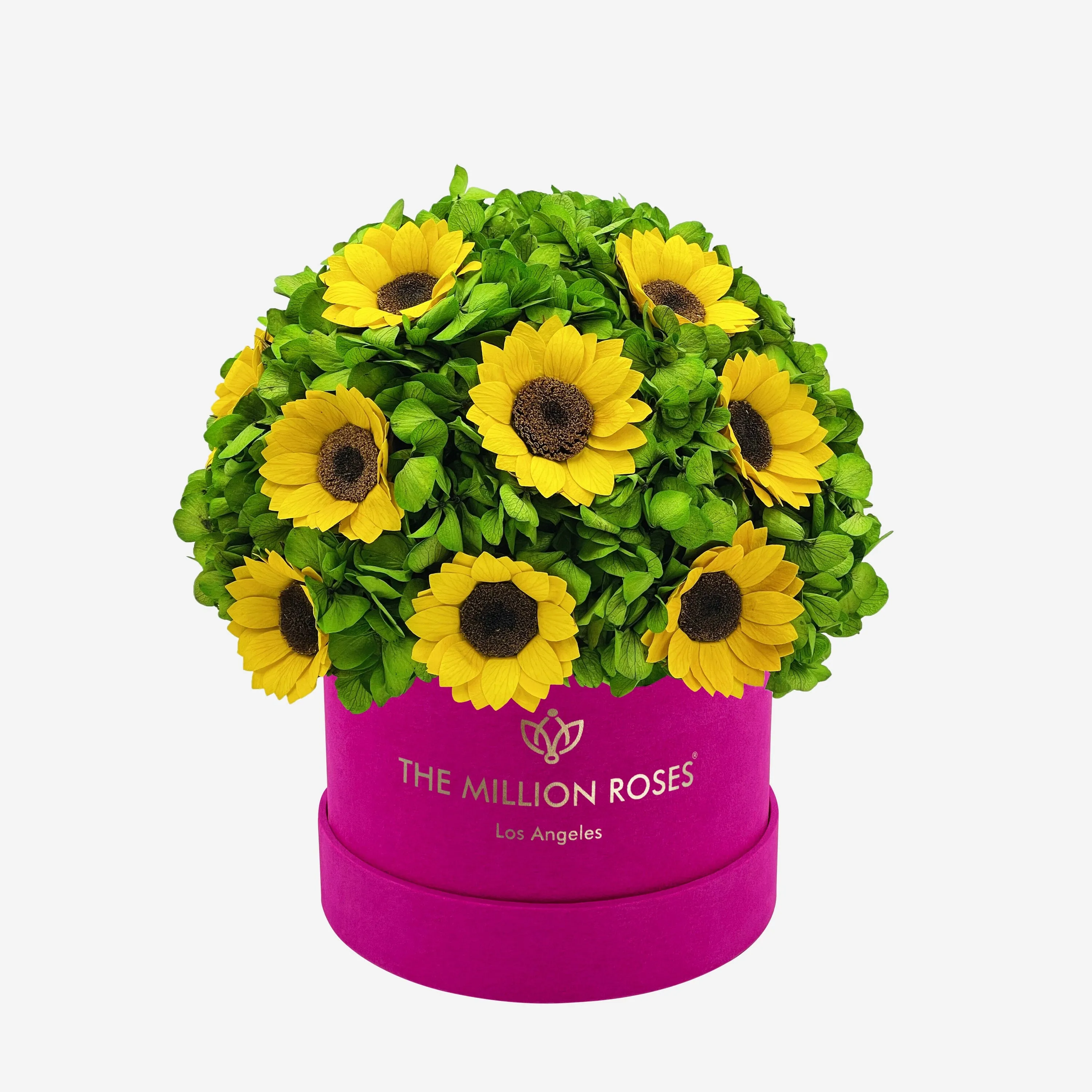 Classic Hot Pink Suede Box | Green Hydrangeas & Sunflowers
